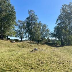 Wo heute Schafe weiden, liegen noch 1000 Wikinger begraben