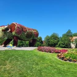 Einfahrt in Ventspils