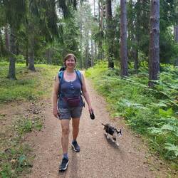 Bequeme Wege durch den wunderschönen Wald.