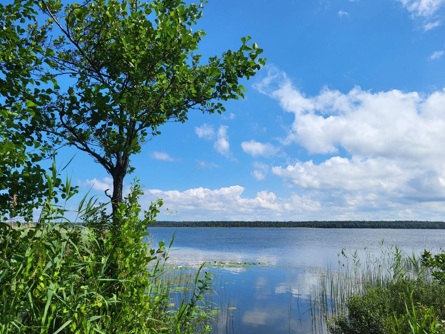 Būšnieku ezers