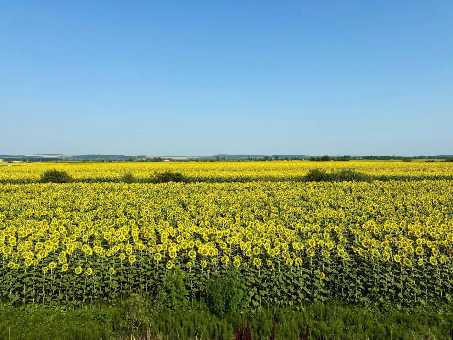 Impressionen während der Zugfahrt