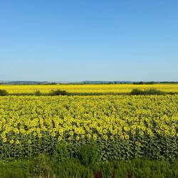 Impressionen während der Zugfahrt