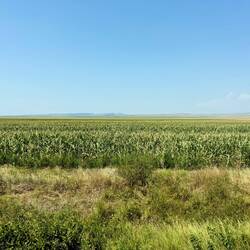 Impressionen während der Zugfahrt