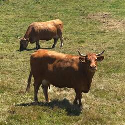 She was posing. I promised I'd post it for her.