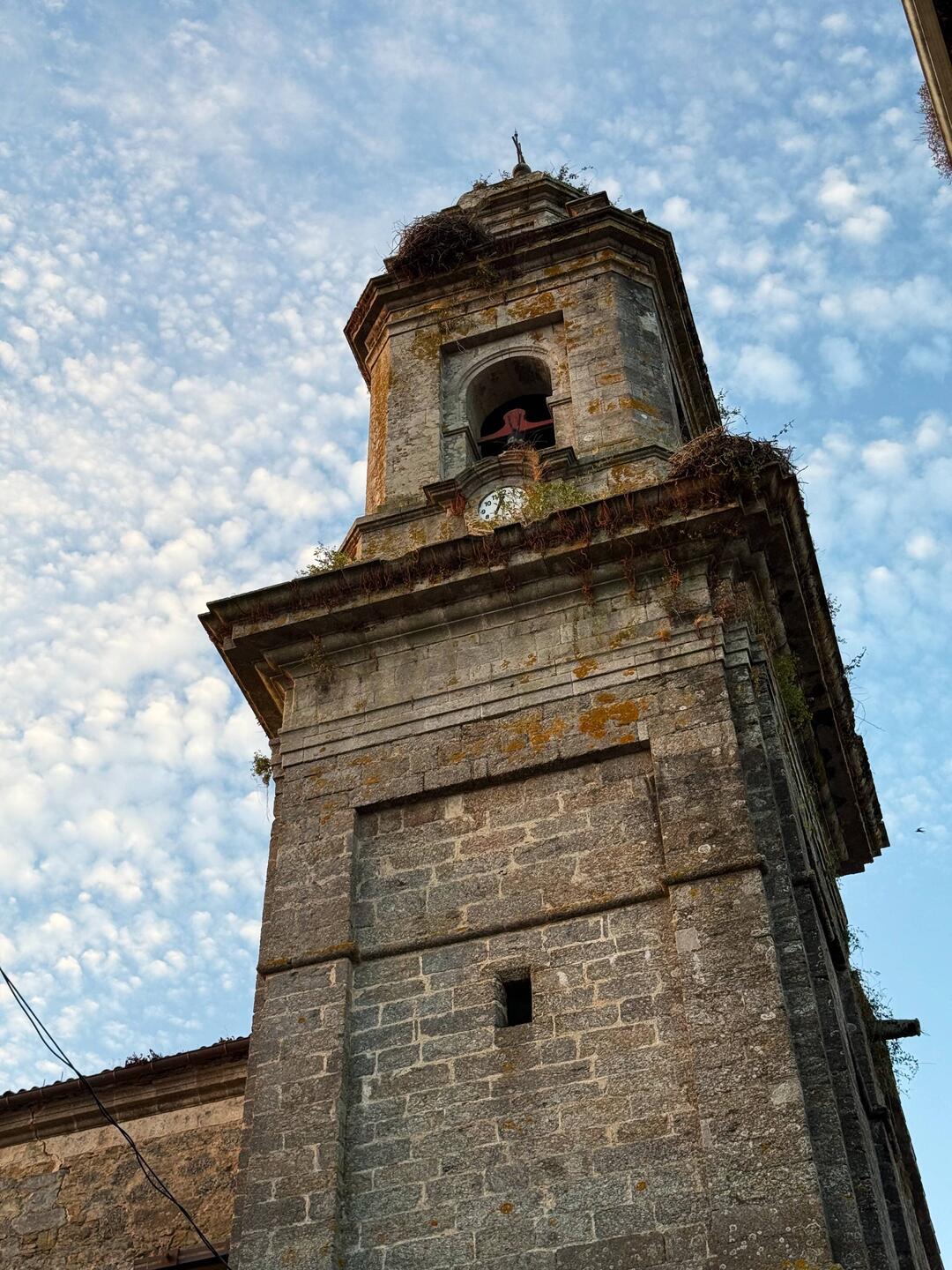 Lovely morning light in Melide