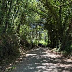 This couple held hands all day. Sweet.