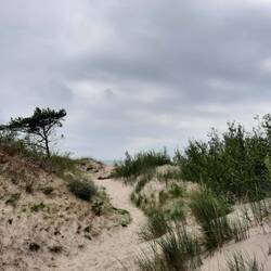 ... man sieht die See hinter der Düne