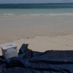 Fast die Flut verpennt