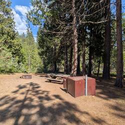 Stellplatz...50 Meter vom Ufer entfernt🤩