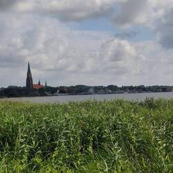 Der Schleswiger Dom