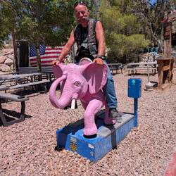 Nächste Tour von Adrian, dem Tourguide