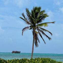 Blick auf Rocky Cay vom Playa San Luis