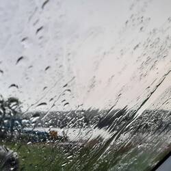 Regen ☔️... für 24h laut App