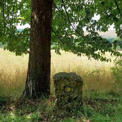 Die Muschel zeigt den Weg