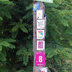 Hier treffen sich alle bekannten Wege an der Mosel.