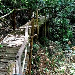 Een jungle van 5 kilometer