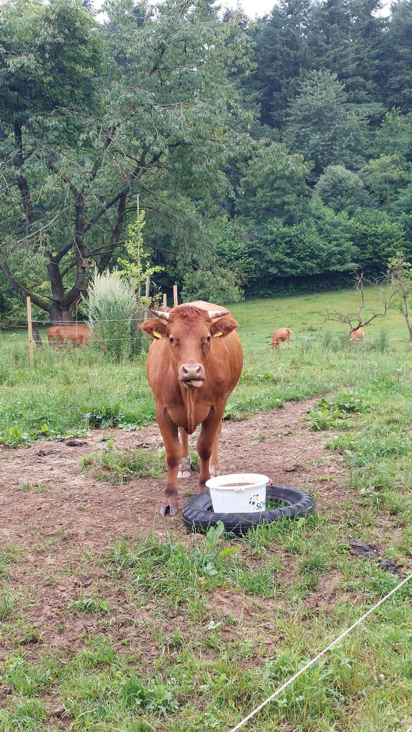 Guten Morgen 😉