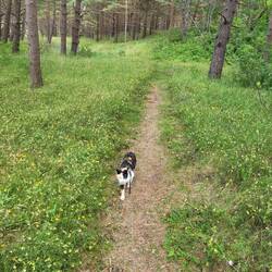 Leni auf dem Weg zum Strand.