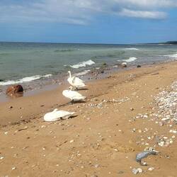Ich gönne mir noch eine Stunde am Strand. 😊