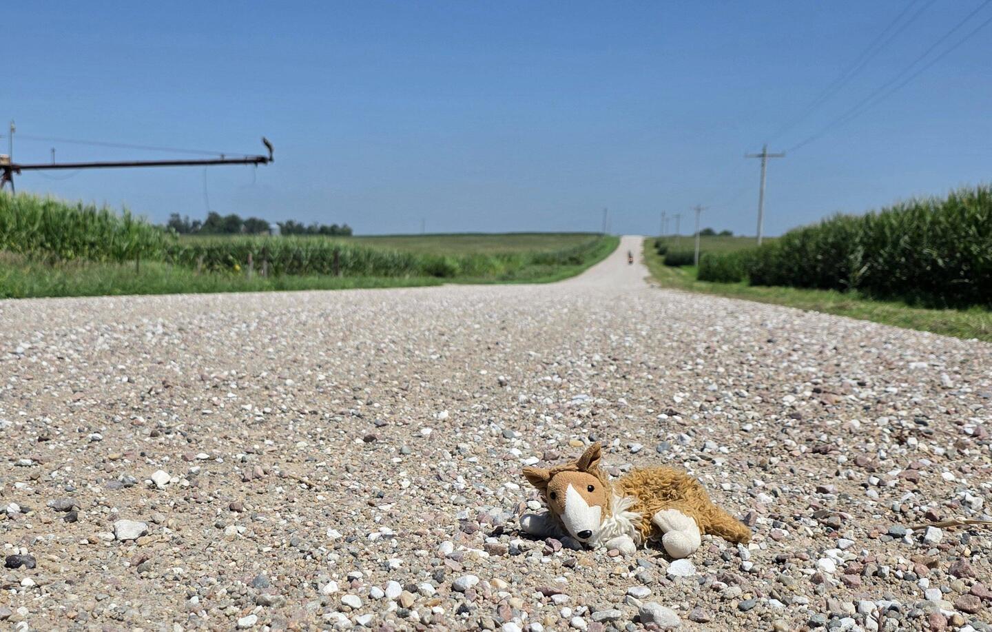 Typical Nebraska gravel dirt road, scrapped "smooth", well, sort of.