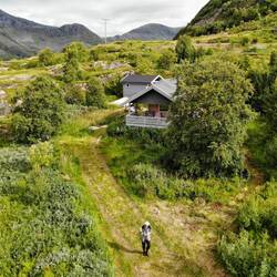 Mein Häuschen in der Wildnis