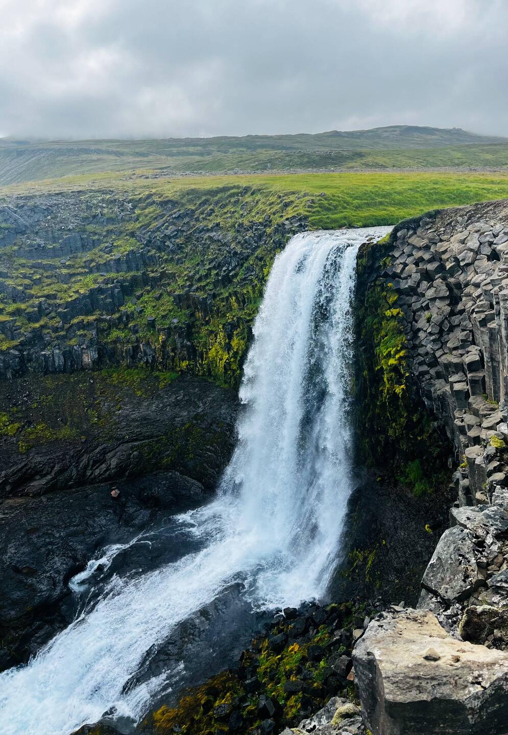 Svoeduvoss