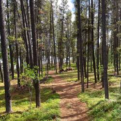 Irgendwo da hinten übernachten wir :)