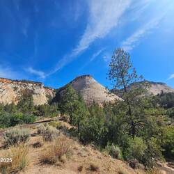 Checkerboard Mesa