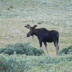 Hatten heute noch Besuch 🫎