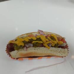Chicago Dog