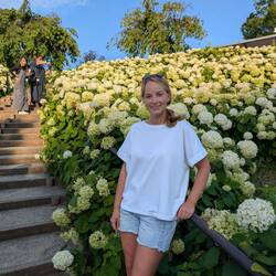 June is hydrangea month 💮