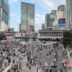 Shibuya scramble crossing 😵‍💫