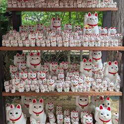 Little game: can you find our stuffed cat? 😺