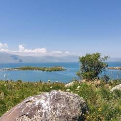 Auf den zwei Vogelinseln geht es sehr lebhaft zu😅.
