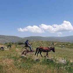 Im letzten Winkel der Türkei geht es häufig noch sehr traditionell zu.