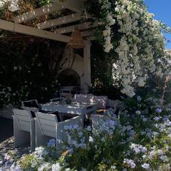 Allegra and nice photos