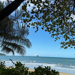 Palm Cove
