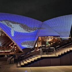 Projektion auf das Ostsegel