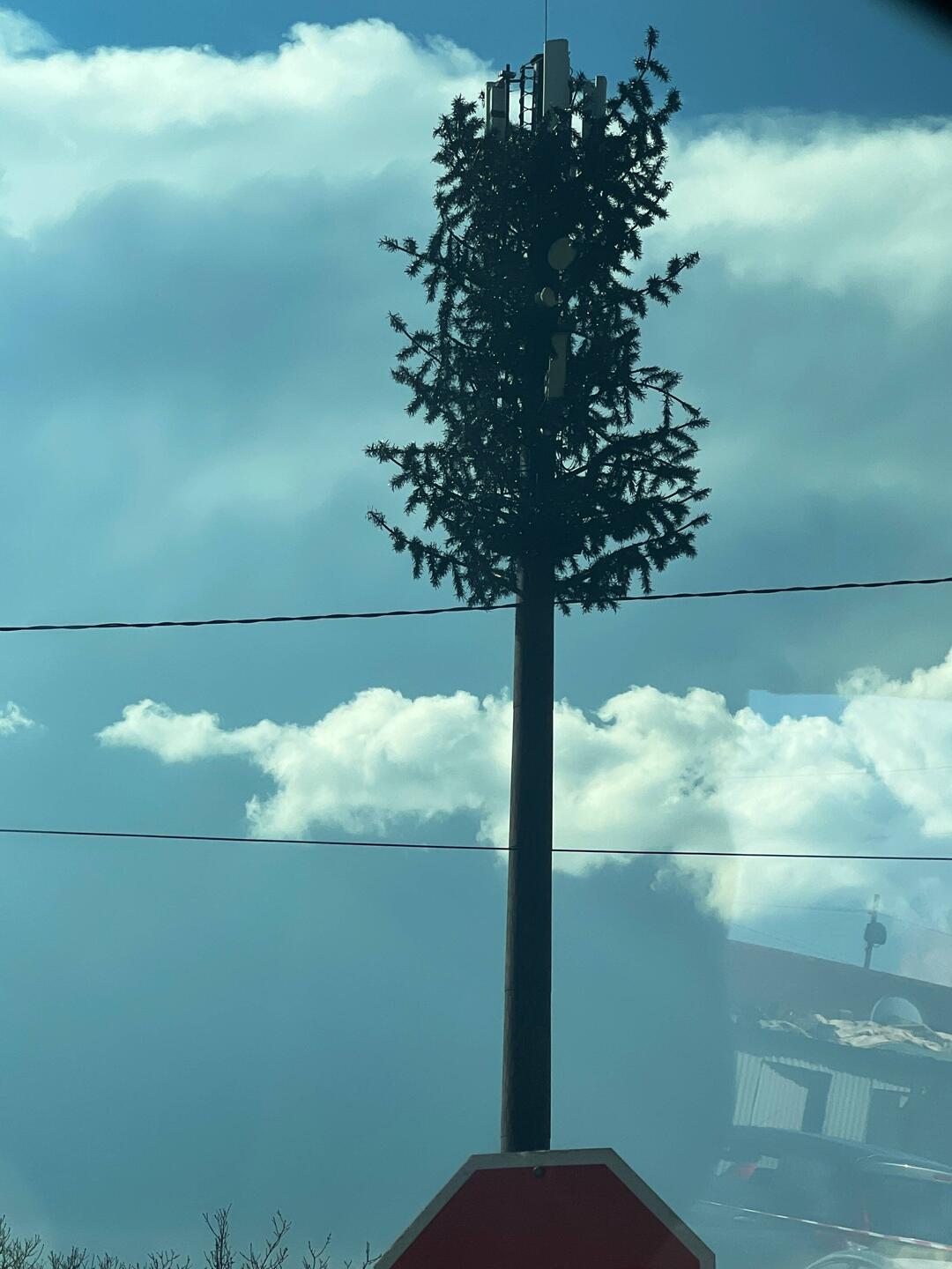 Telecommunication tower with fake tree branches