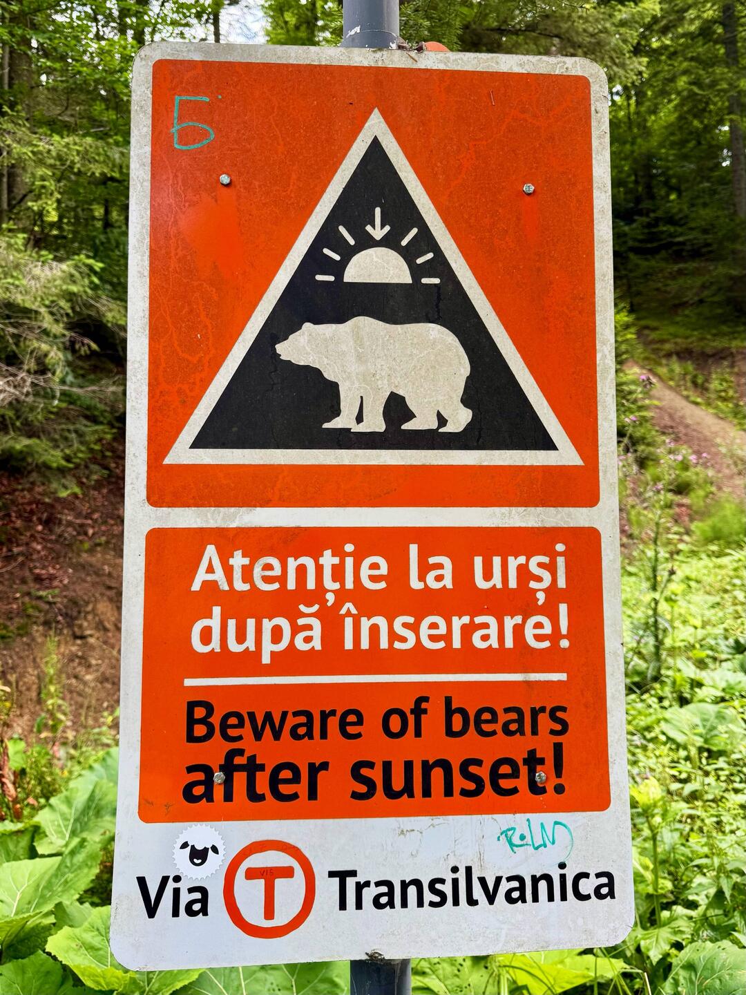 Könnte auch ein Werbeplakat für ein Horrorfilm sein.