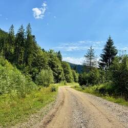 Das letzte Wegstück hinunter nach Sucevița war angenehm zu laufen.