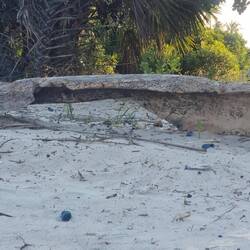 Ob der Kahn noch zu richten ist?