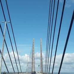 Spettacolare esperienza!