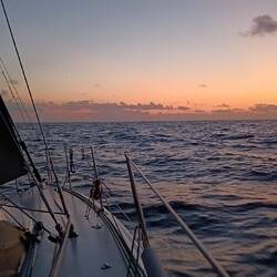 ... folgt kurz danach der schmalsichelige Neumond. (Suchbild)