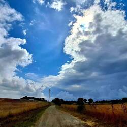 De luchten gaan echt alle kanten uit vandaag. Na wat gedruppeld terug zon.