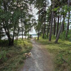 Weg zum Strand