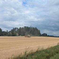 Der Ruf wurde erhört