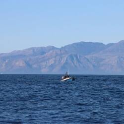 ...und Fischerbooten geht es zurück zum Hafen