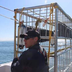 Der Skipper lässt den Käfig zu Wasser...