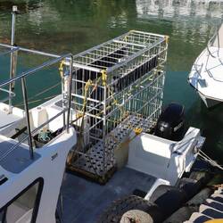 Der Haikäfig steht schon bereit